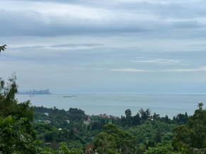 Black Sea Secret